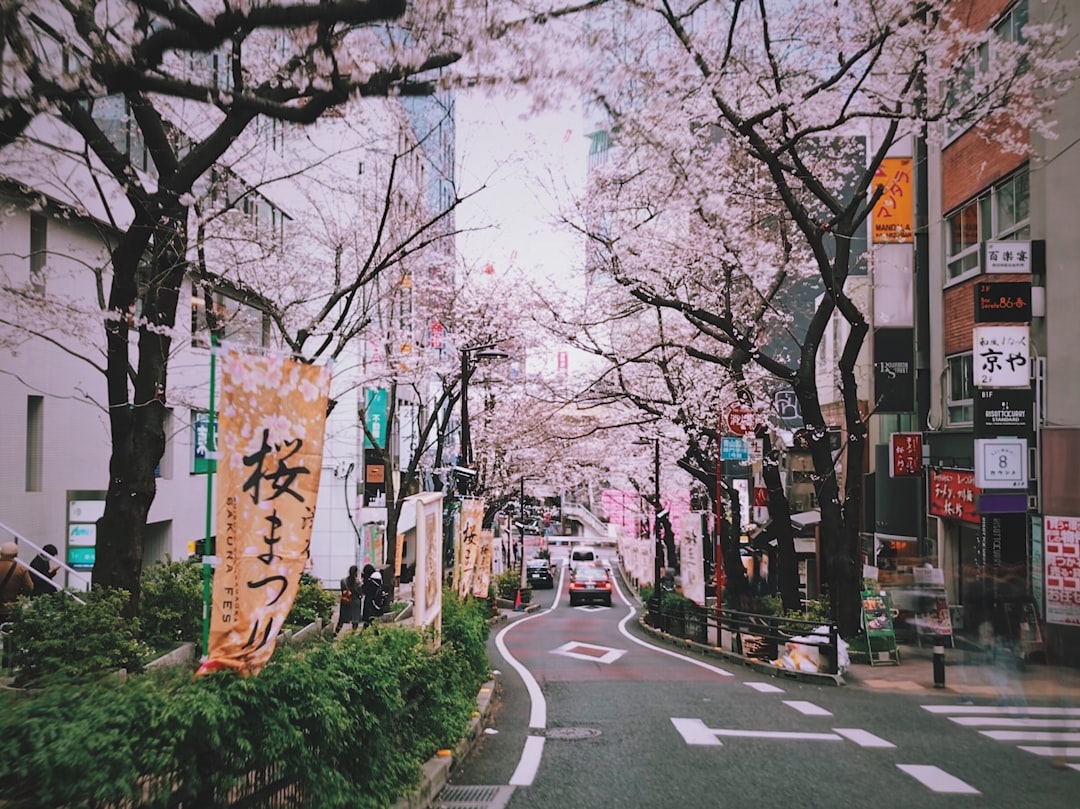 輪島 朝市 観光 アクセス(イメージ写真)