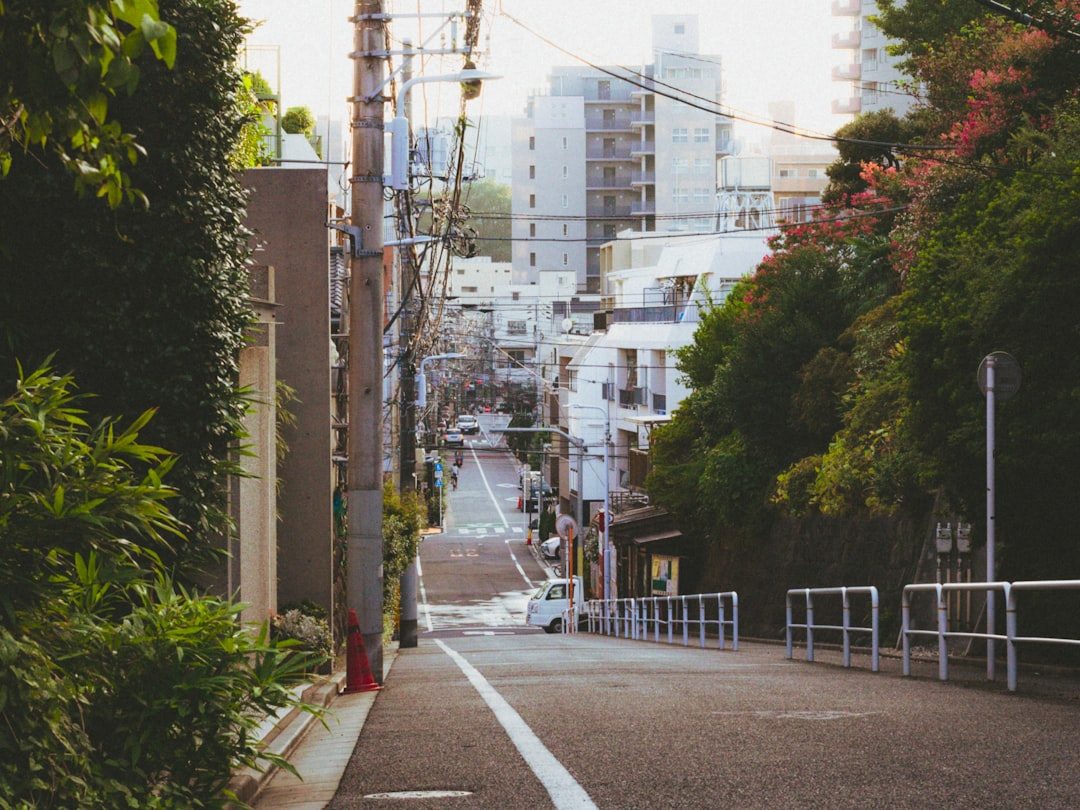 福井 果物狩り おすすめ（イメージ写真）