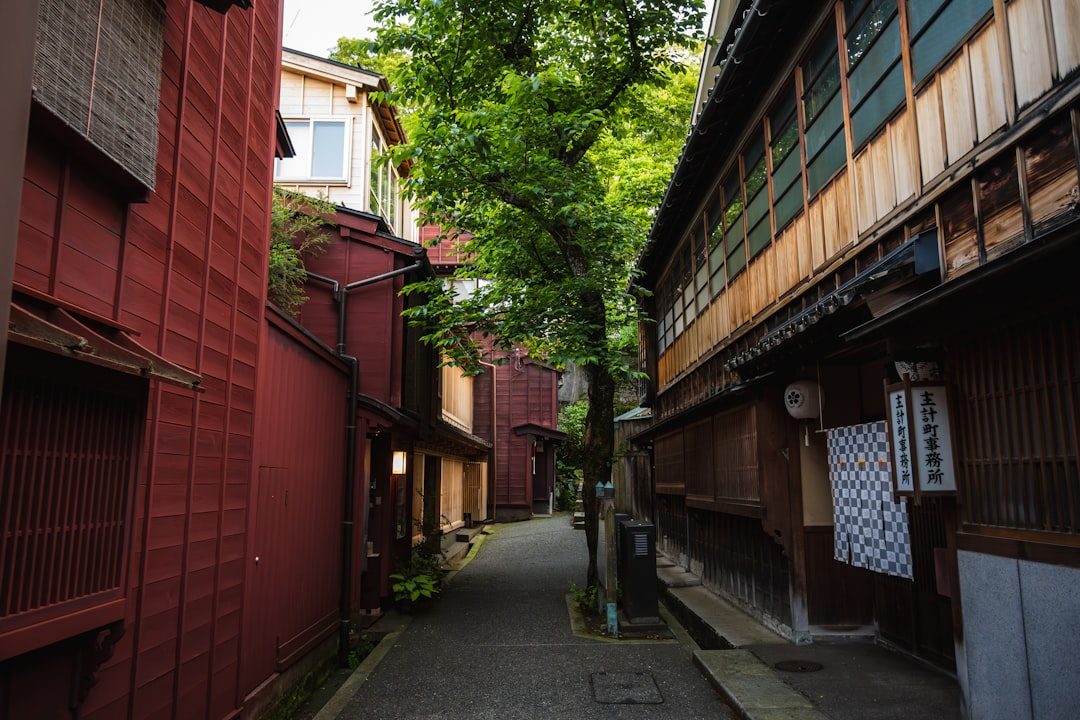 福井 果物狩り おすすめ まとめ（イメージ写真）
