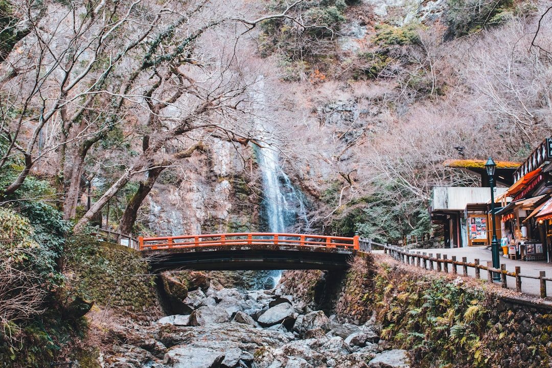 福井県の紅葉（イメージ写真）