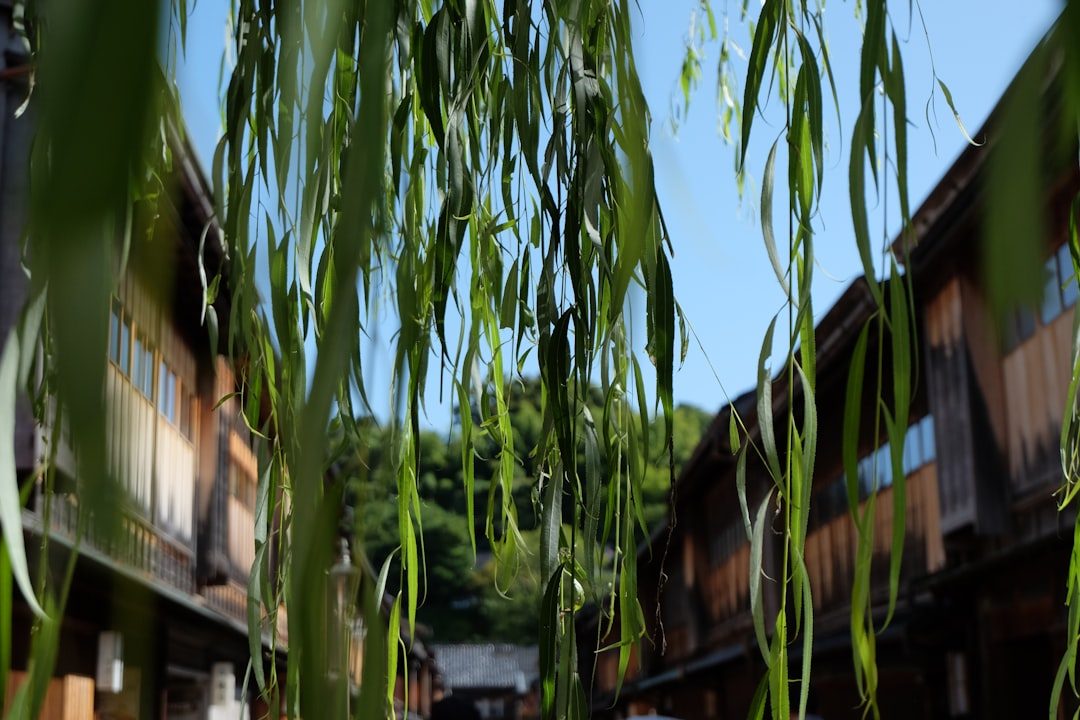 石川県 日帰り 観光 おすすめ 選び方（イメージ写真）